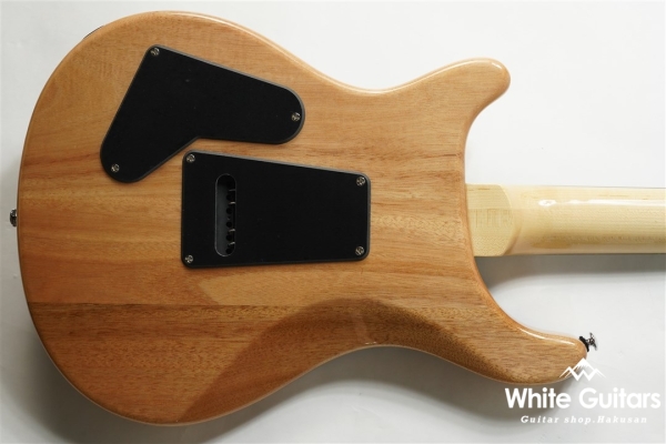 SE Custom 24 - Faded Blue Burst